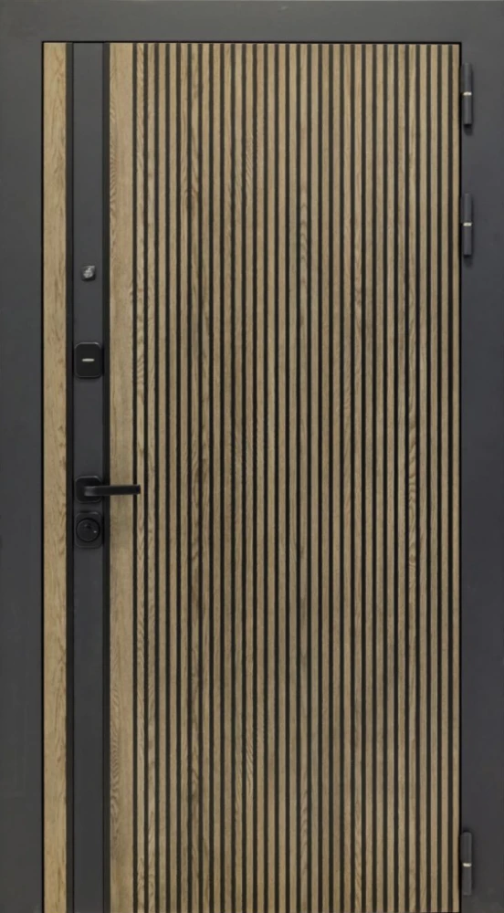 Входная дверь ДвериПРО Rosna Без фрезеровки Дуб арктик горизонт DPRO200473 внешняя сторона