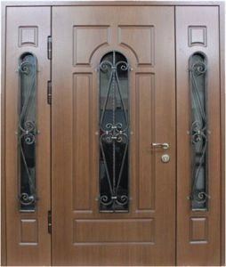 Элитная дверь DZ493